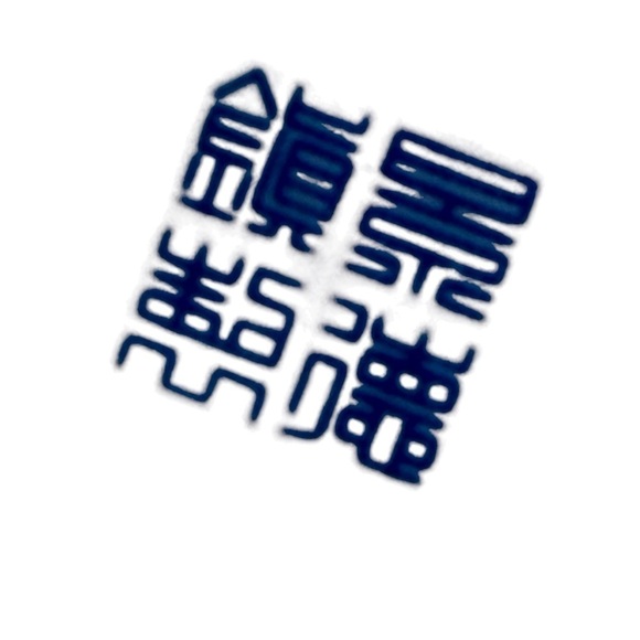 Tienshan Rice Flower Blue White 10 in embossed trim Dinner plate Rice Grain - Picture 6 of 6